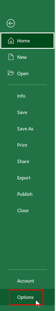 Excel File Options