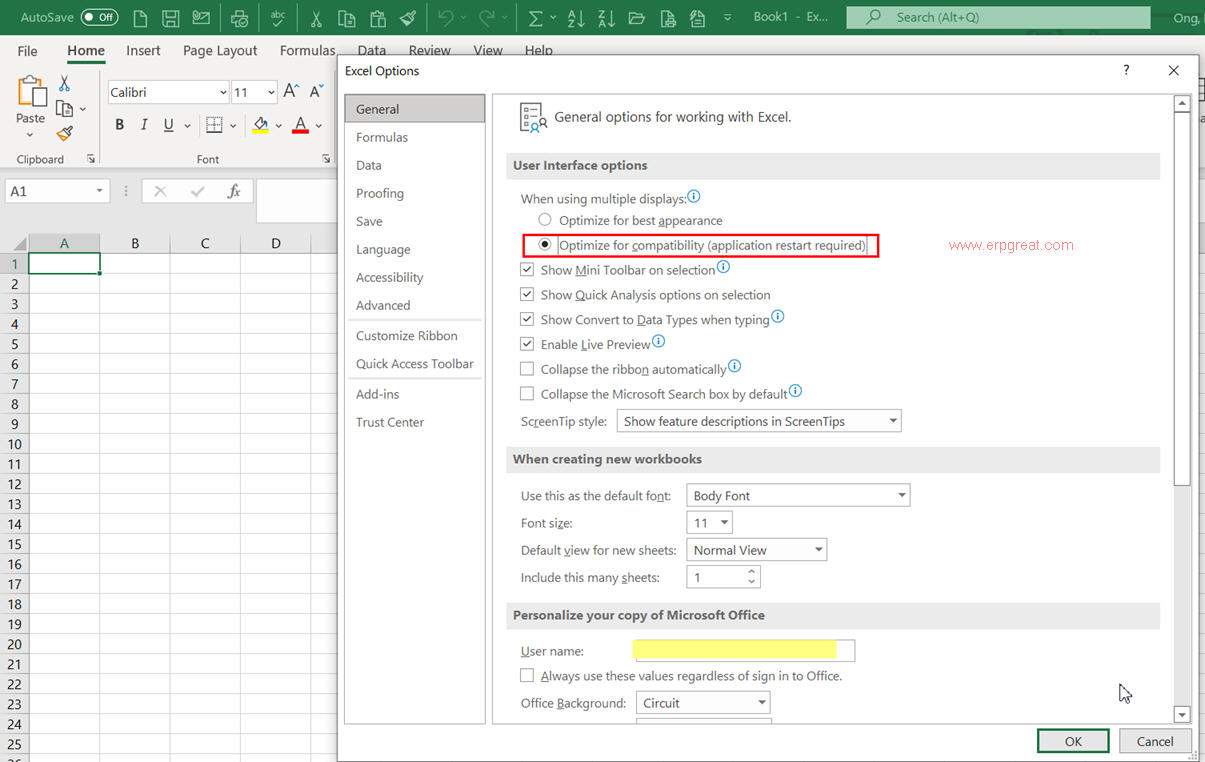 Excel Optimize for Compatibility