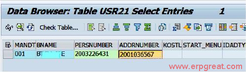 USR21 - Personnel and Address Number