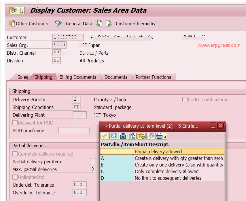 Customer Master Sales Area Data