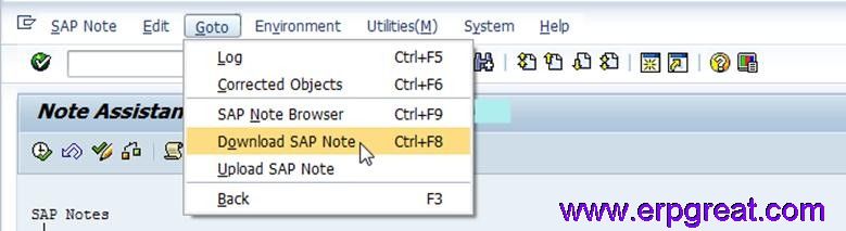 SNOTE To Implement SAP Notes